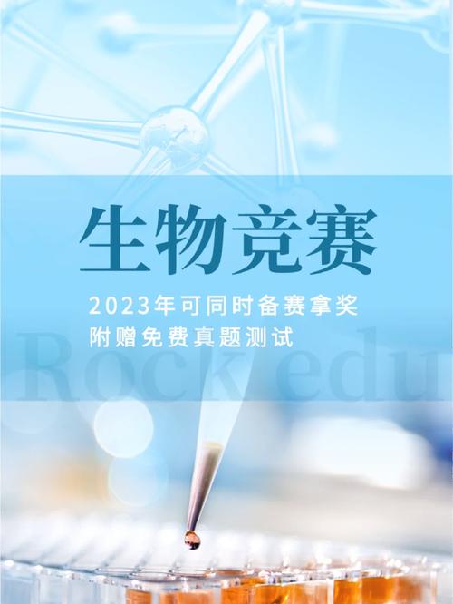 B体育特别报道：BBL赛场上的突破性新技术应用，bbo竞赛